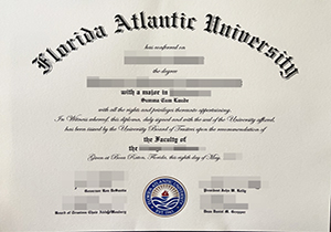 Florida Atlantic University degree