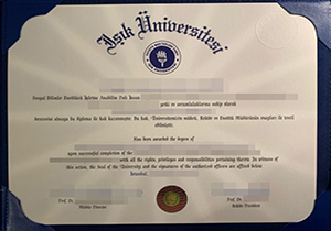 Isik Üniversitesi diploma