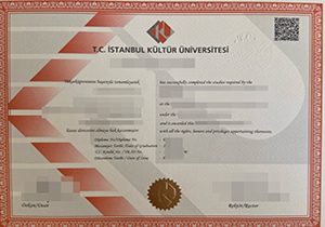 Istanbul Kültür Üniversitesi diploma
