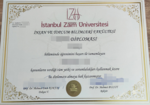 Istanbul Sabahattin Zaim Üniversitesi diploma