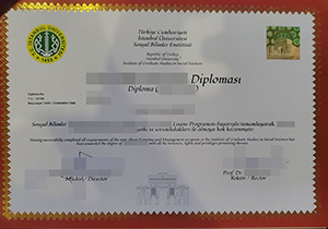 İstanbul Üniversitesi diploma