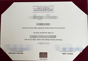 Özyegin Üniversitesi diploma