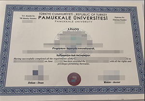 Pamukkale Üniversitesi diploma