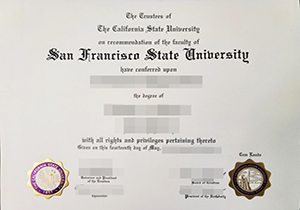 SFSU degree