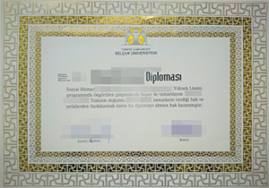 Selçuk Üniversitesi diploma