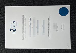 Technological University Dublin diploma