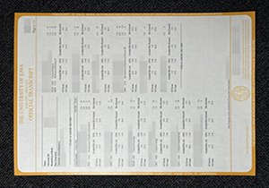 The University of Lowa transcript