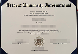 Trident University International degree