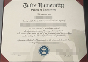 Tufts University degree