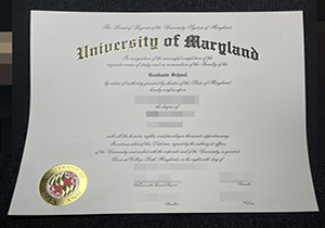 University of Maryland degree