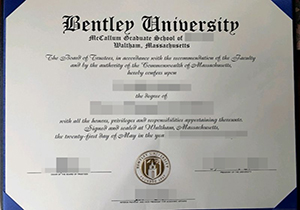 Bentley University degree