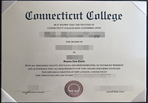 Connecticut College degree