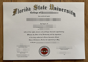 Florida State University degree