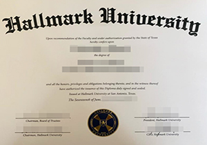 Hallmark University degree