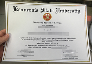 Kennesaw State University degree