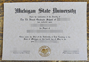 Michigan State University degree