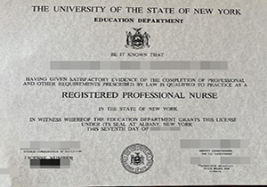 Registered Professional Nurse certificate