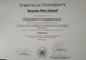 Toronto Film School diploma