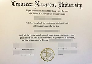 Trevecca Nazarene University degree