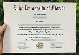 University of Florida degree