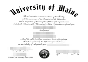 University of Maine degree