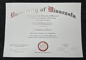 University of Minnesota degree