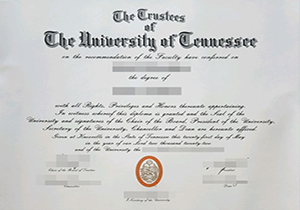 University of Tennessee degree