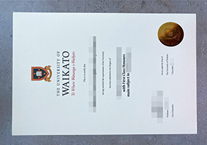 University of Waikato degree