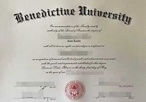 Benedictine University diploma-1