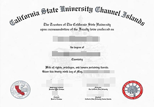 California State University Channel Islands degree