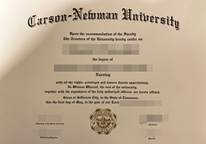 Carson-Newman University degree-1