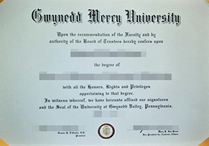 Gwynedd Mercy University degree-1