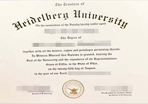 Heidelberg University degree-1