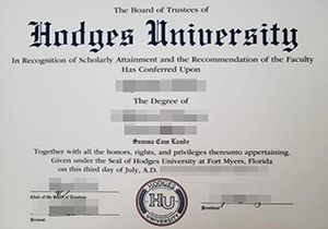 Hodges University degree-1