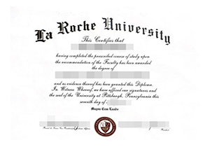 La Roche university degree