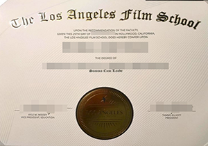 Los Angeles Film School degree-1