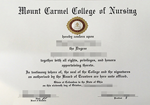 Mount Carmel College of Nursing degree-1