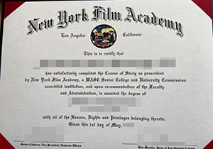 New York Film Academy degree-1