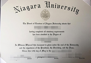 Niagara University degree-1