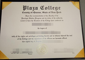 Plaza College degree-1