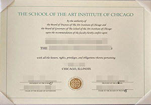 SAIC diploma-1