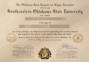 SOSU diploma-1