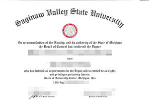 SVSU degree-1