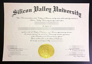 Silicon Valley University degree-1
