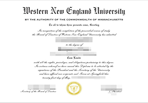 Western New England University degree-1