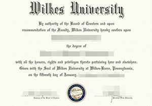 Wilkes University degree-1