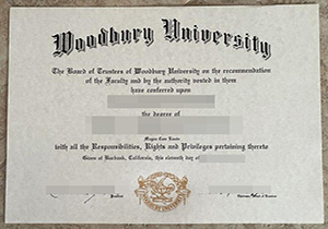 Woodbury University degree-1