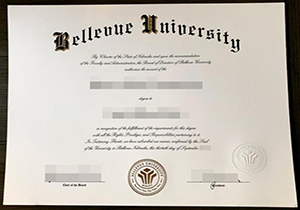 Bellevue University degree-1