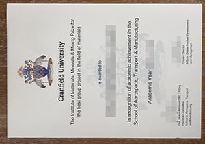 Cranfield University certificate-1
