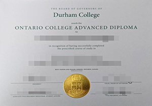 Durham College diploma-1